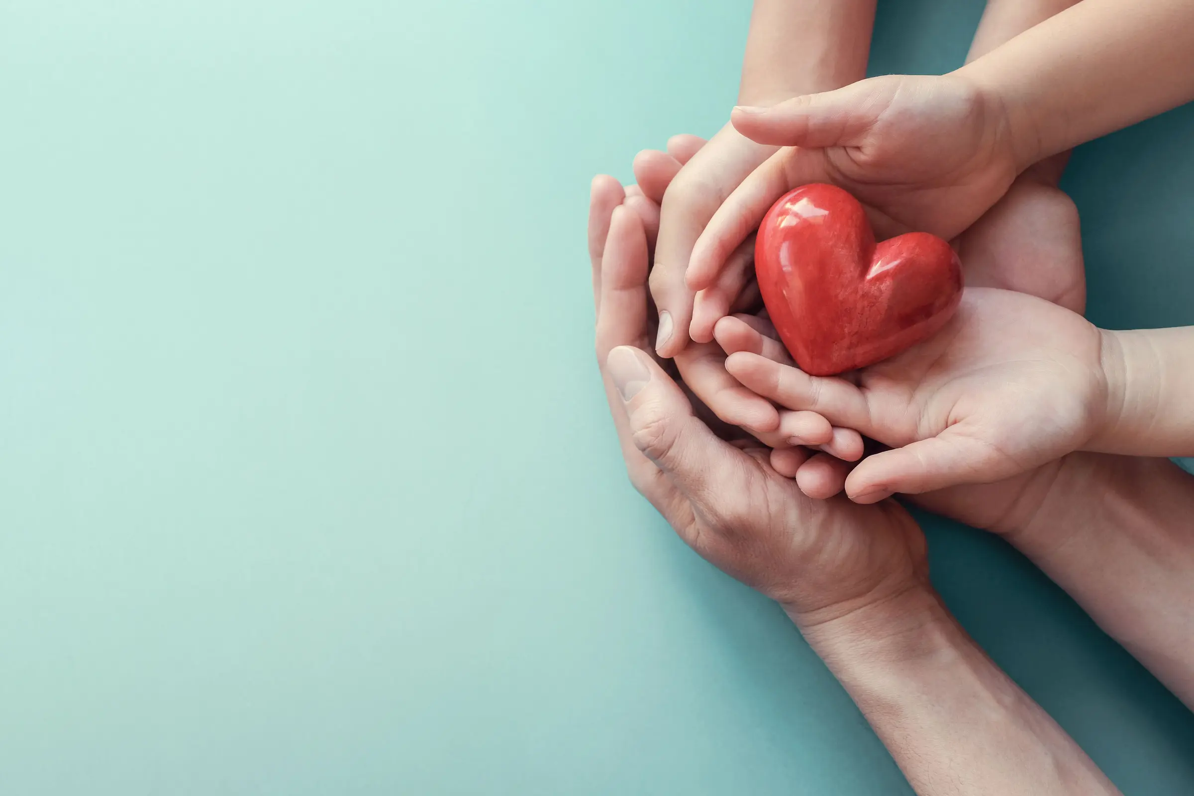 Voluntariado